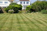 grass-220465_1280