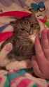 1740272134131504_thumb.jpg