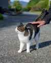 ssstwitter.com_1752605331292 (1)_thumb.jpg
