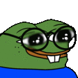 pepe-nerd
