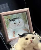 Gv0e_hsagAAehQM