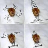 Gv0Rt5rbcAA6F1r