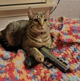 IMG_3856