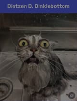 Screenshot_20250716_015412_Chrome