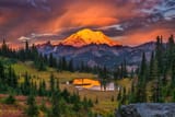 AdobeStock_421319888-1920w