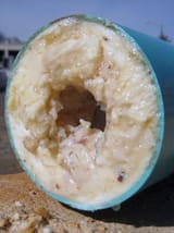 636051472761829694-Sewer-Pipe-with-FOG-Fats-Oil-and-Grease-