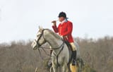Hunting-horn
