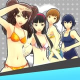 2090469-persona-4-dancing-all-night-girls-swimsuit-set-ps-vita-front-cov