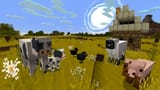 Jolicraft-Resource-Pack-for-minecraft-textures-1