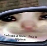 1752666886917
