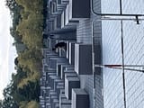 IMG_1515