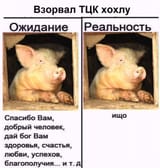 17515780382240