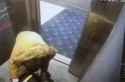 132123 (193)_thumb.jpg