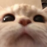 1694862973216401
