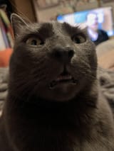 mfw