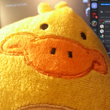 duck