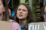 thunberg