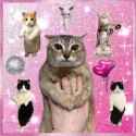ssstwitter.com_1752675116056 (1)_thumb.jpg
