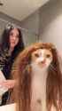 ssstwitter.com_1752675427975 (1)_thumb.jpg