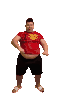 1723851969384475