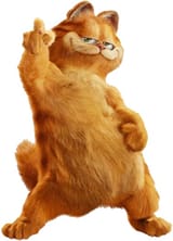 cat (165)