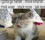 1730633233563642