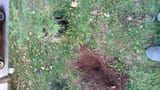 IMG-20250716-WA0041