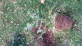 IMG-20250716-WA0045