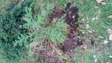 IMG-20250716-WA0052