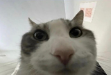 1745687120025249