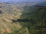 Haiti-Dominican
