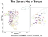 Map of the races of Europe 