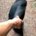 1618522707011_thumb.jpg