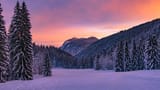Vinter