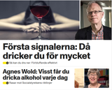 Skärmbild 2025-07-17 025402