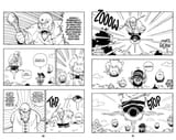 CH207 PG002