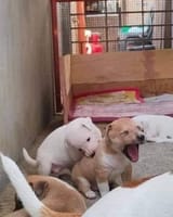 aaaaaaaaa