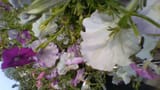 WIN_20210812_18_07_34_Pro (3)