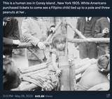 coney island flip zoo