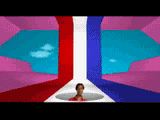 12719388307