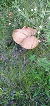 IMG_20250716_214807