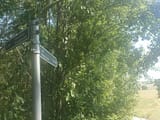 IMG_20250717_134728