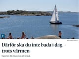 du blir sjuk suedi
