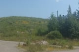 IMG_20250717_142602