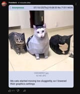 1741294323233829