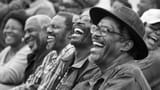 a-group-of-black-men-and-women-sit-together-their-heads-thrown-back-in-hearty-laughter-the-carefree-and-genuine-joy-on-their-faces-captures-the-essence-of-ebony-euphoria-photo-4017096893