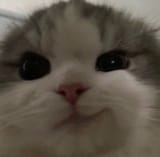 1663440167928192