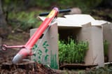 TreePlanting-PhotoVilmaIssakainen