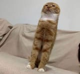 3140