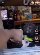 Screenshot_20250717_120710_YouTube